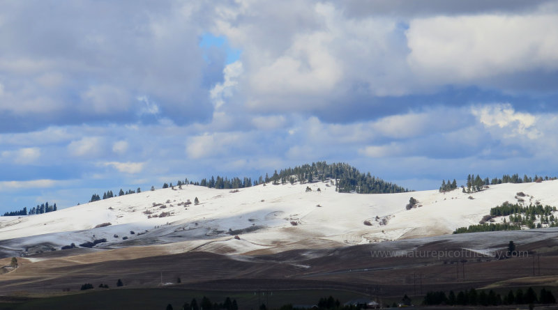 Snow covered hilltops 