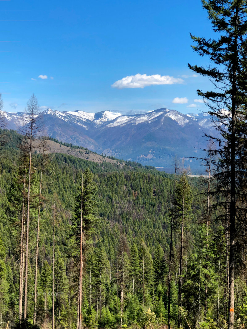 Snow covered ridges and mountains in Montana.