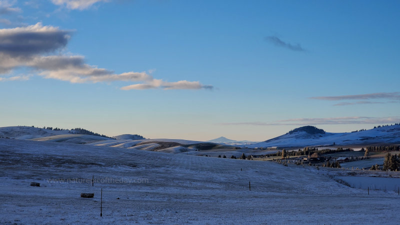 Snow on the Palouse