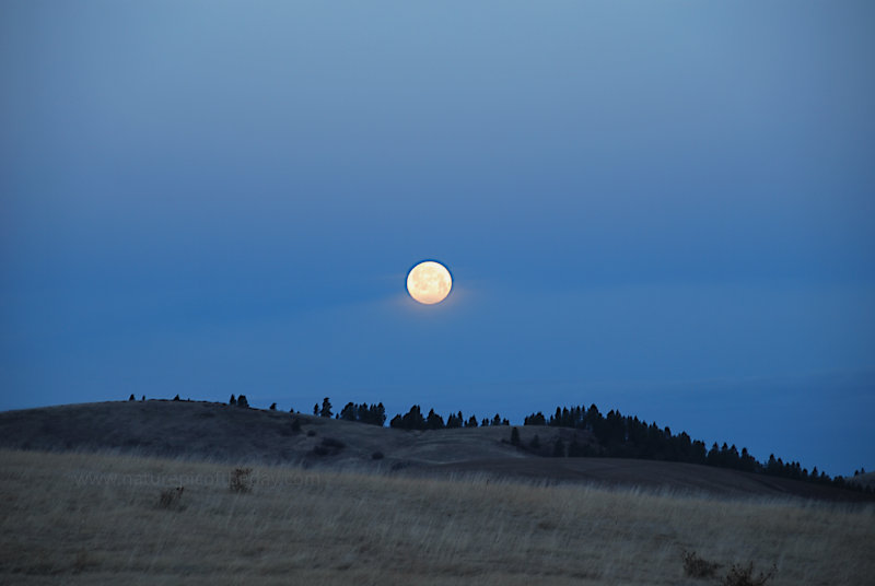 Moon in January.