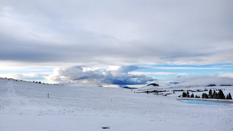 Snow on the Palouse