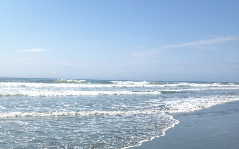 Pacific Ocean Waves