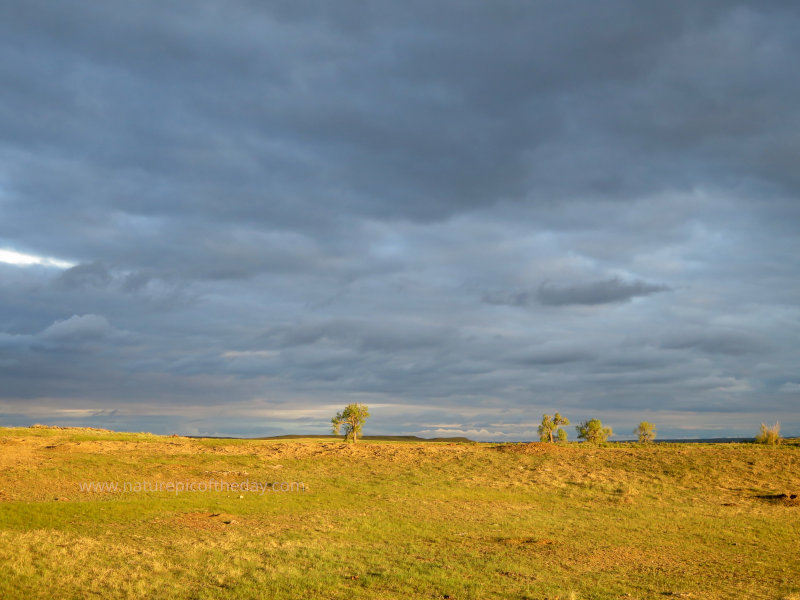 Sunset on the Montana Prairie