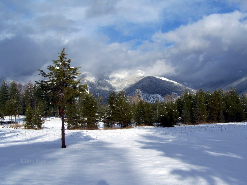 Blue Sky in a Montana Winter