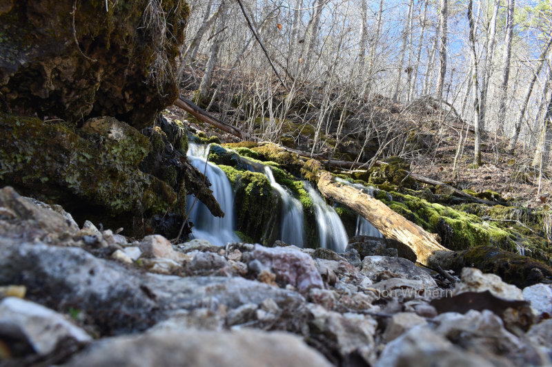 Creek in Missouri wilderness