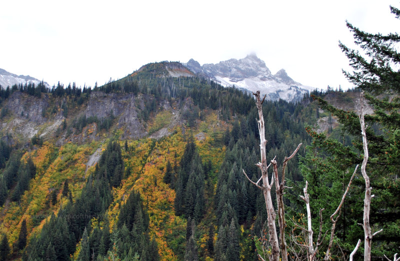 Fall in Mount Rainier National Park