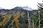 Fall in Mount Rainier National Park
