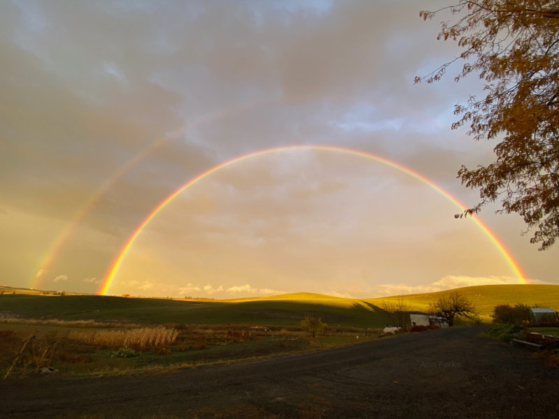 Rainbow in Idaho