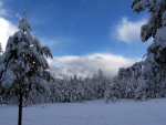 Montana snow storm