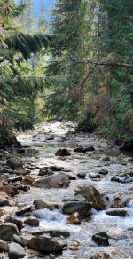 Mountain creek in Washington