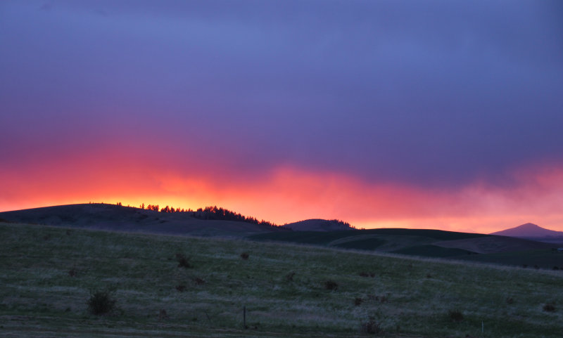 The sight of silence.