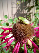 Walking in Lake Elmo, MN