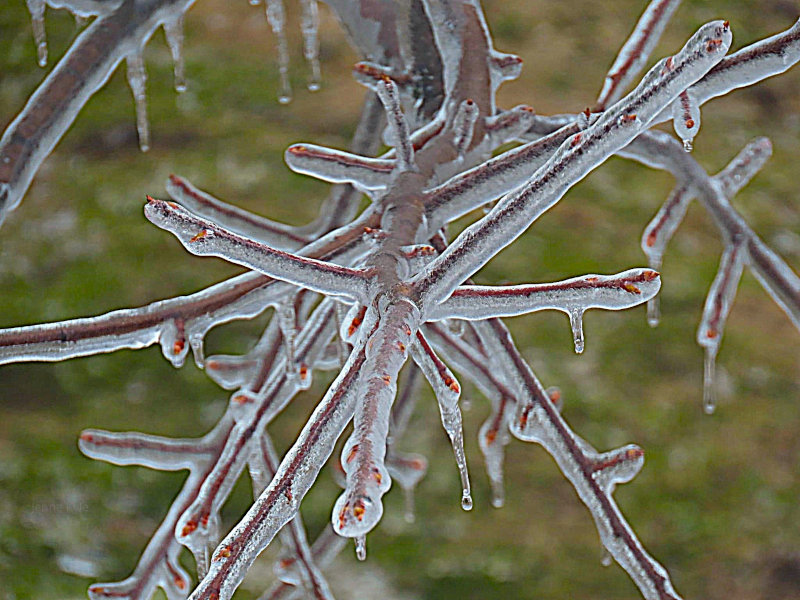 Ice in Montreal, Quebec