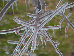 Ice in Montreal, Quebec