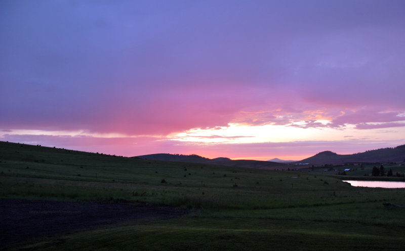 Sunset on the Palouse