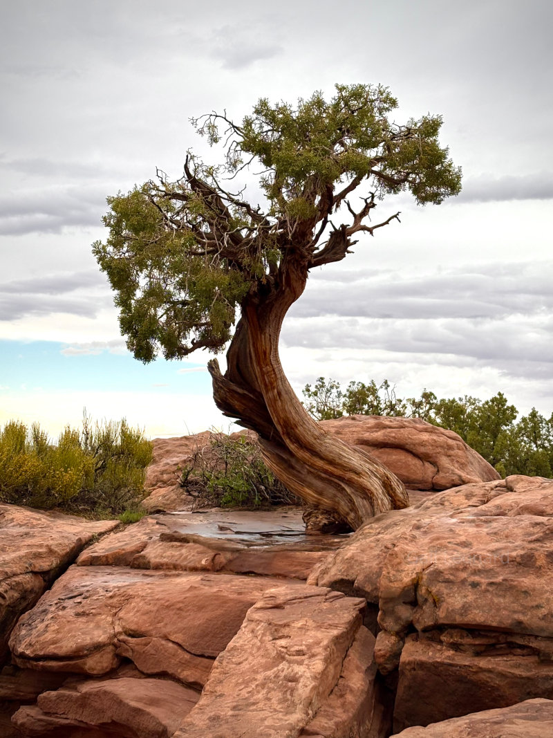 Canyonlands National Park