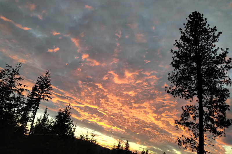 Another one is gone.