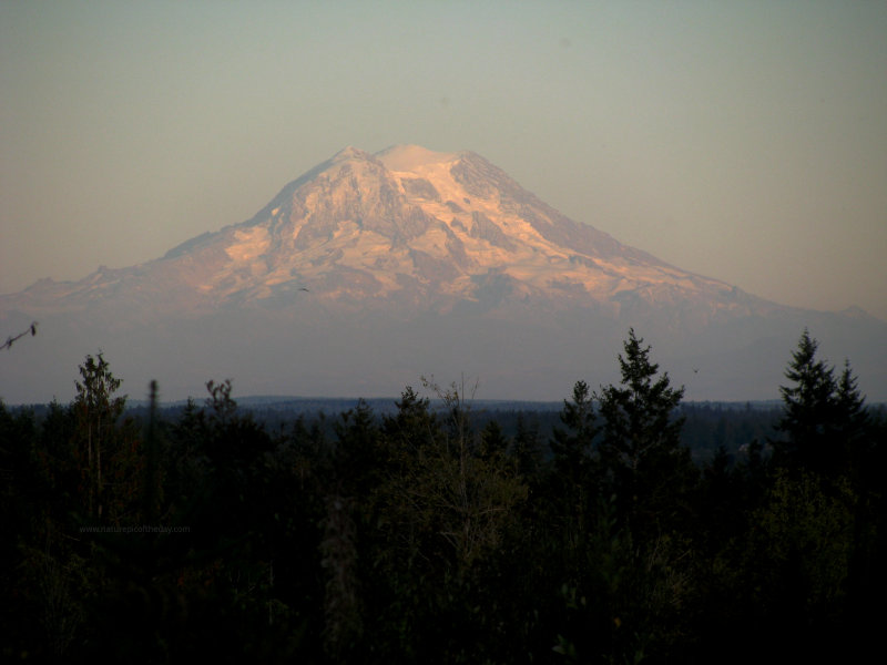 Mount Rainier