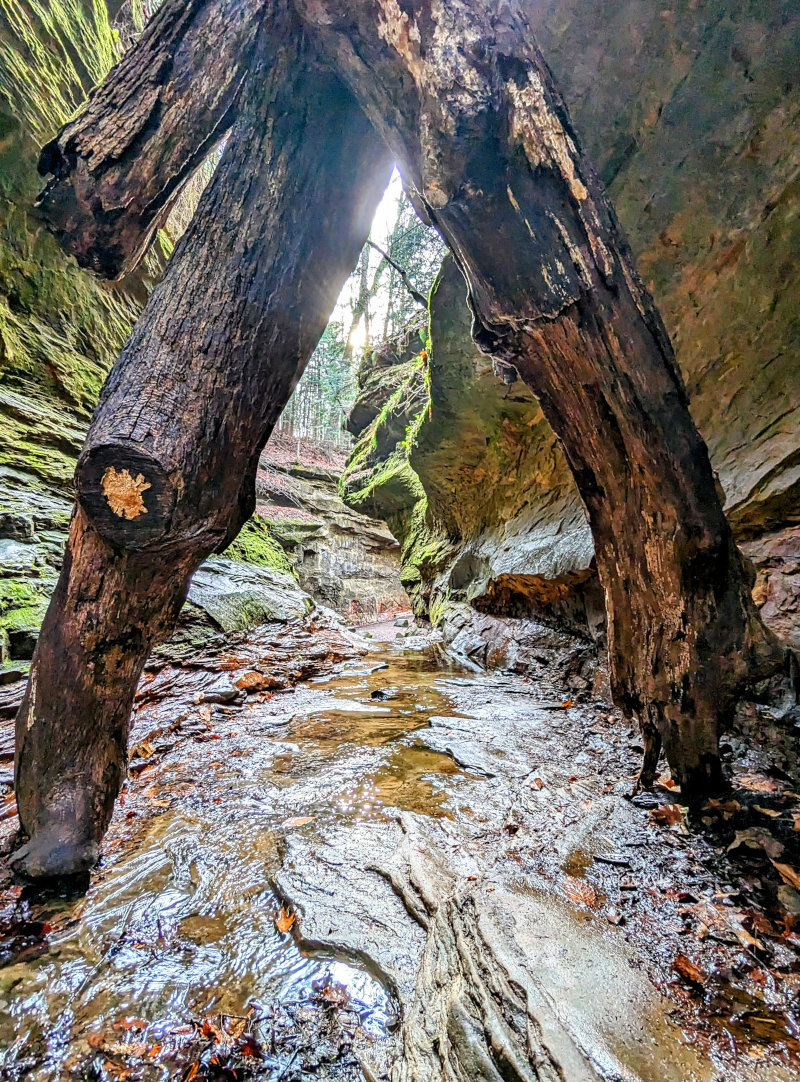 Creek and Limestone in Turkey Run State Park, Indiana