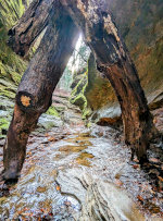 Creek and Limestone in Turkey Run State Park, Indiana