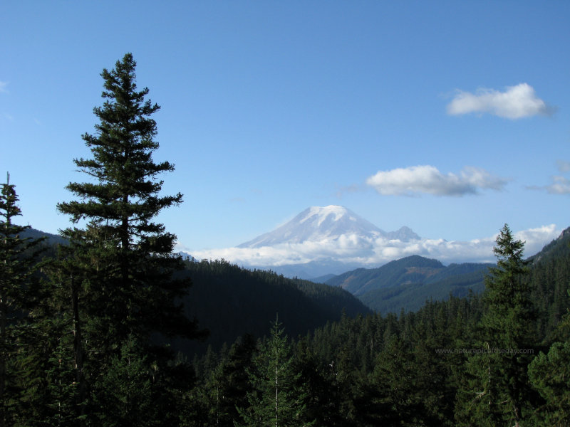 Mount Rainier