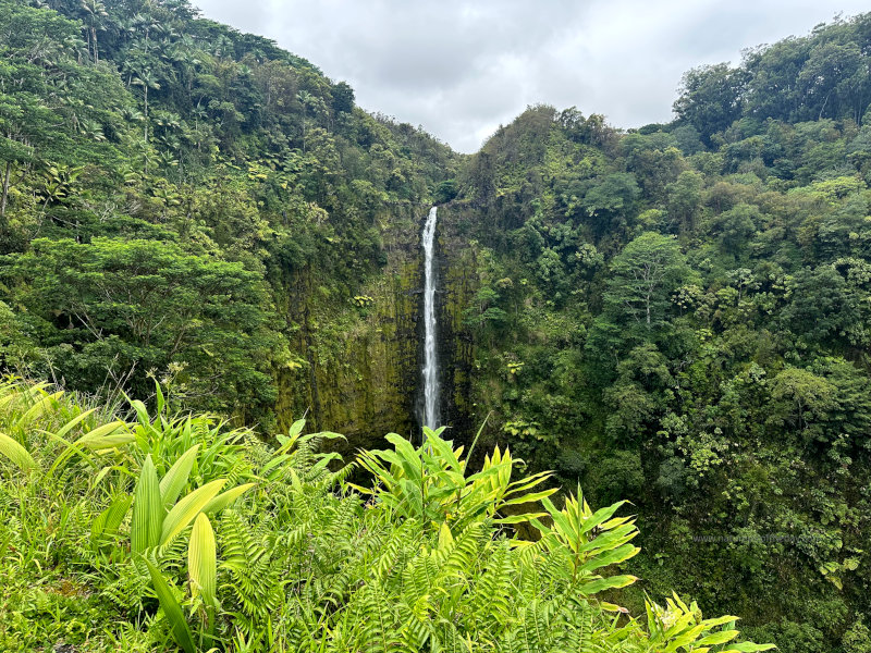 Hawaii