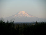 Mount Rainier 