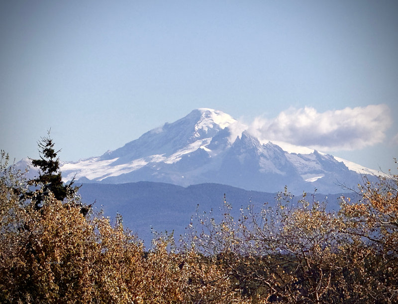 Mt Baker
