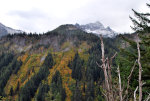 Autumn in Rainier