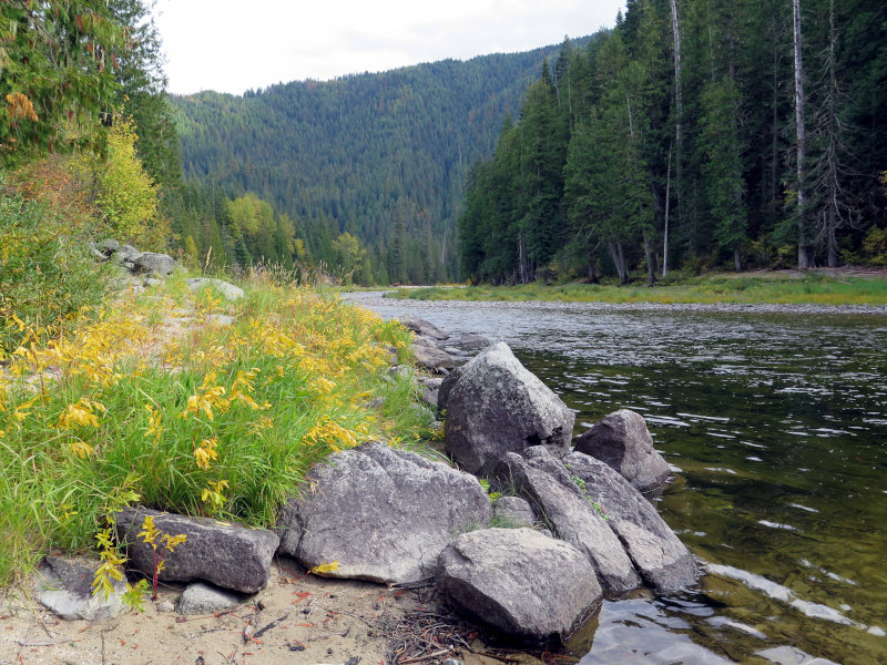 Selway River