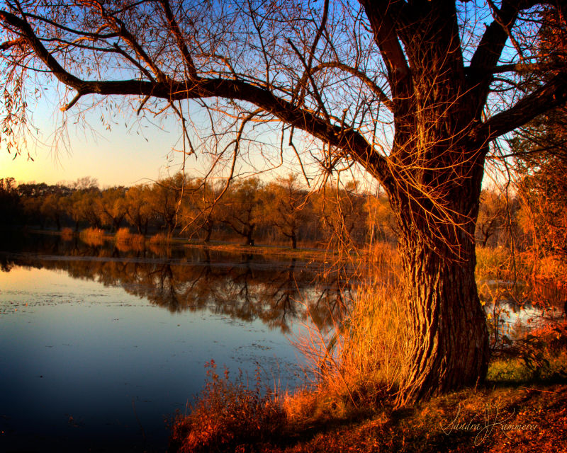 Gorgeous outdoor sunset photography in Niagara County Bond Lake Park.
