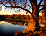 Gorgeous outdoor sunset photography in Niagara County Bond Lake Park.