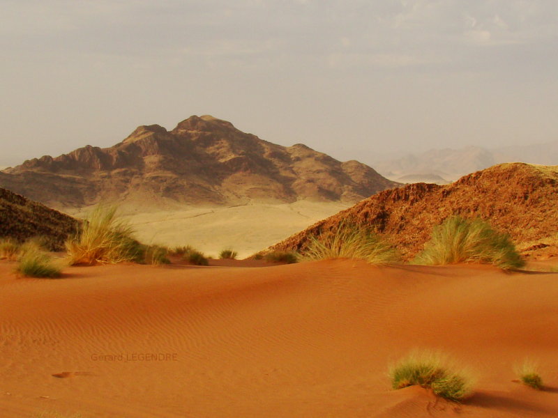 Desert Photography.  Pretty colors abound in this desert picture.