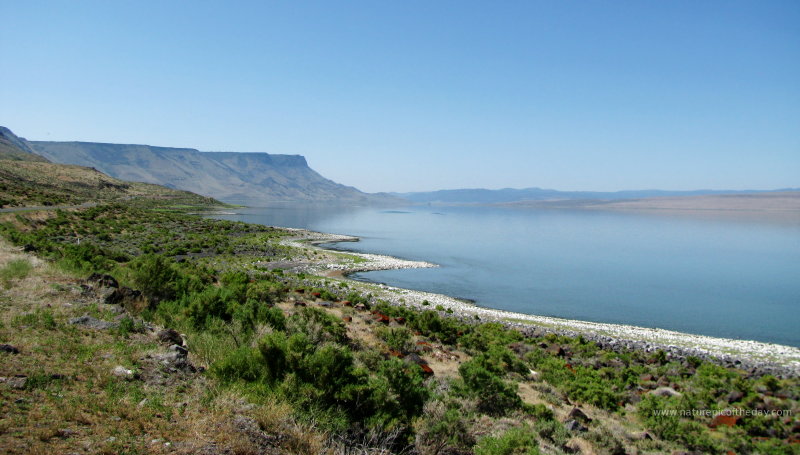 Lake Abert