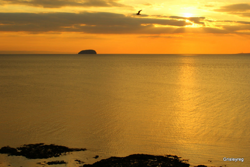 Steep Holm, Bristol Channel, England.  Gorgeous sunsets.  Nature picture.