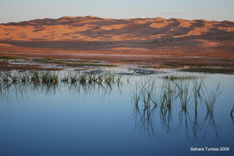 Desert Oasis!  Travel to the Sahara Desert.  Desert gear and outfitting.