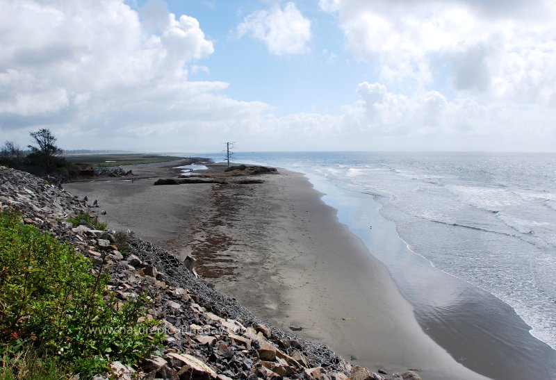 Beach, Tokeland, Washington.  Crab.  Fish.