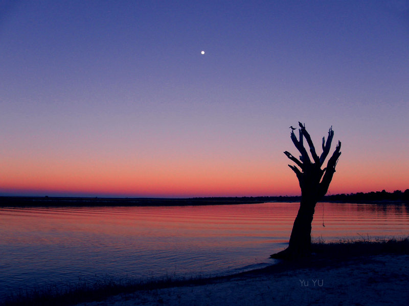 Chobe River, Botswana.  