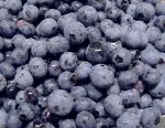 blueberries, antioxidants, cranberries, health