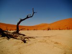 Namibia Desert.  