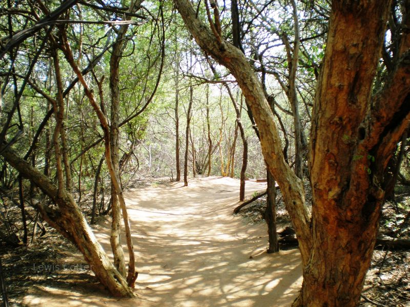 Marakele National park, South Africa.  Flights to South Africa.