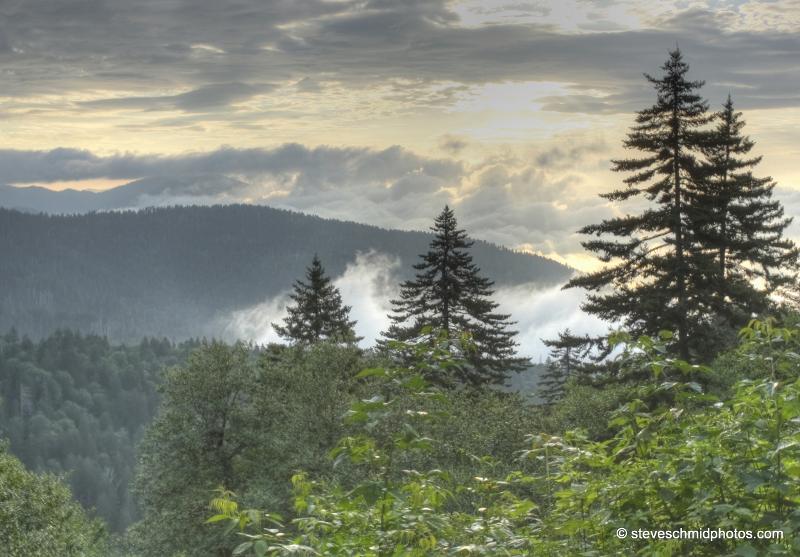 Smoky Mountains National Park, TN.  Vacation in the parks!