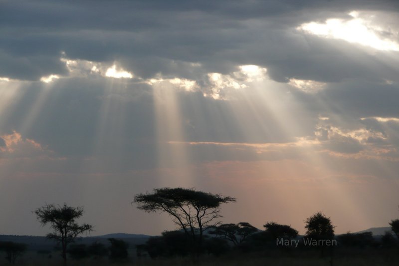 Serengeti.  Africa tours.