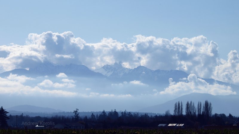 Olympic Mountains, Olympic Peninsula, Washington state.