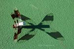 Insect Shadows on a tennis court.