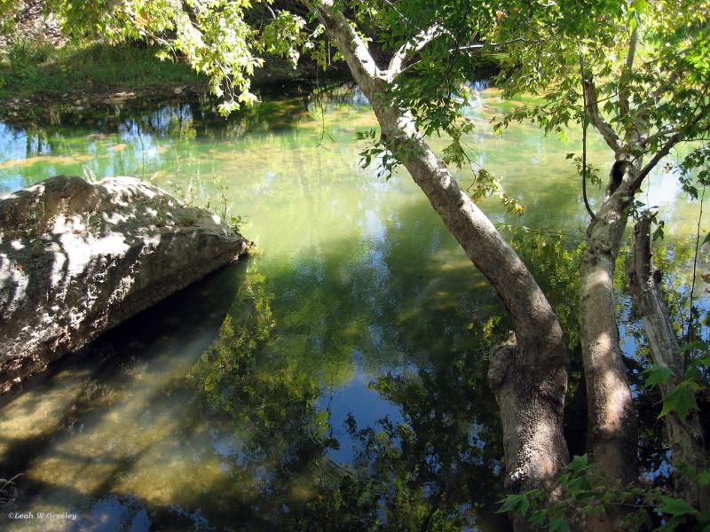 Creek in Sedona, AZ