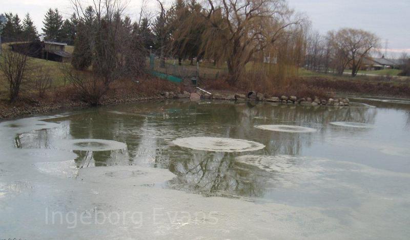 Ice circles on a pond in Canada
