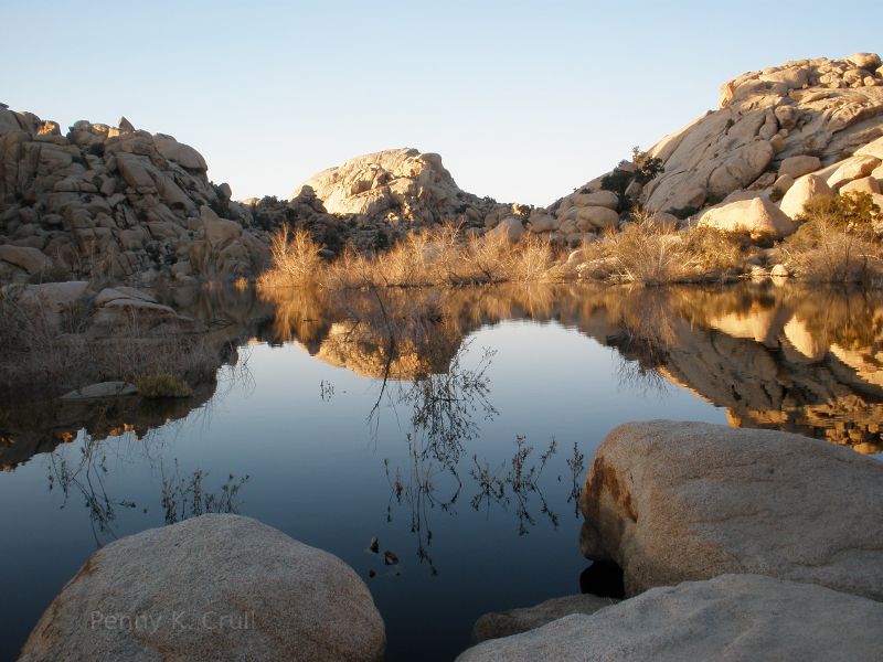 Pond in Joshua Tree National Park