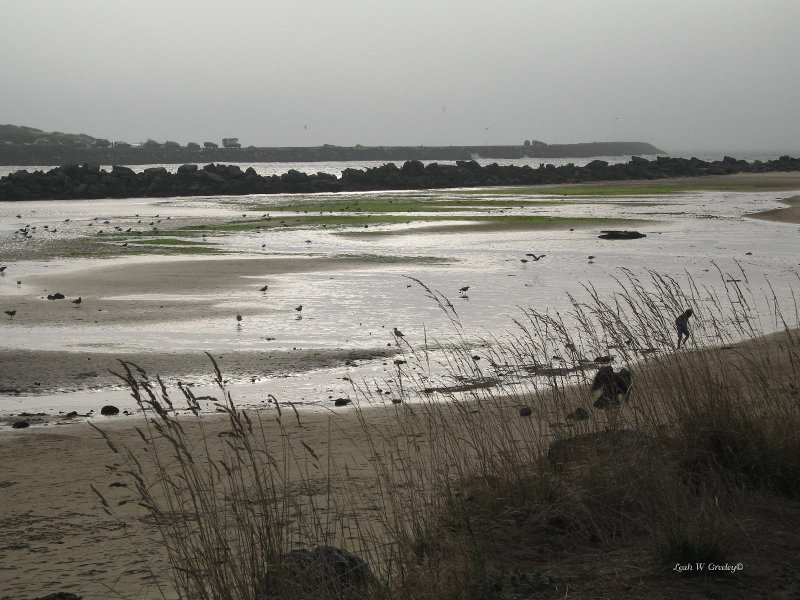 Siuslaw river in Oregon