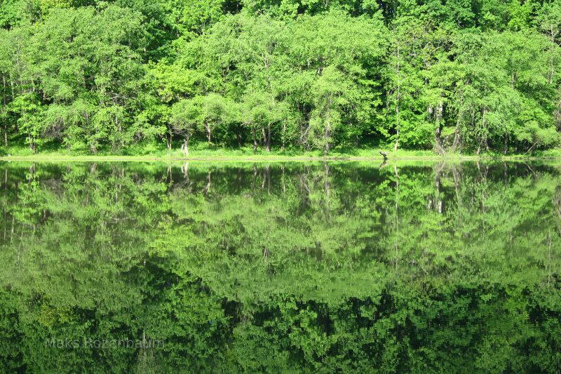 Reflections on a small lake in Maryland.